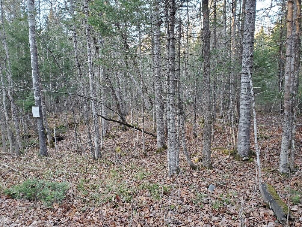 Lot 65-2 Ramsdell Ridge Road