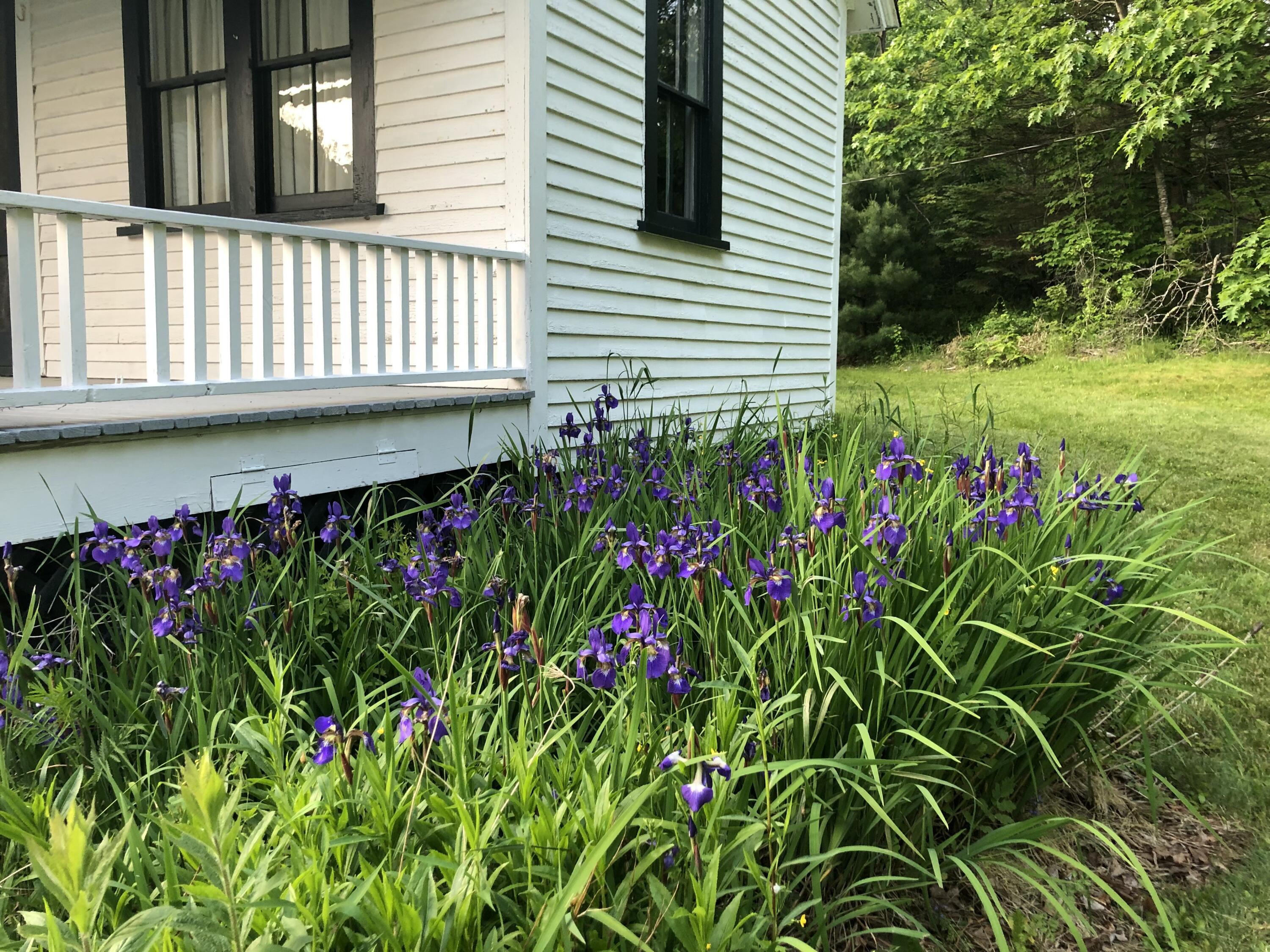 679 Reach Road