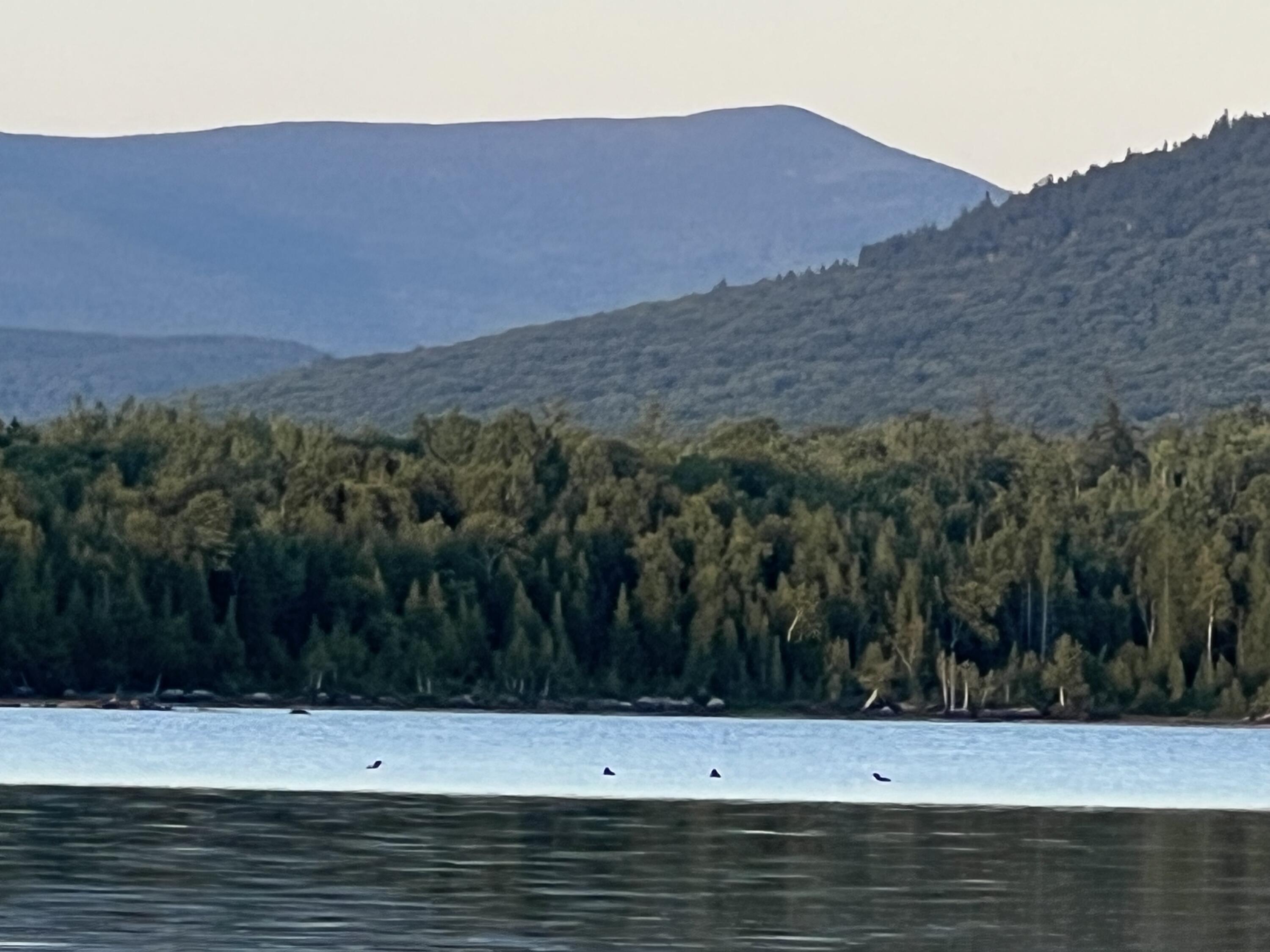 Lot 2 & 3 Saddleback Mountain Road