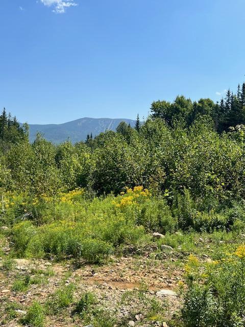 Lot 2 & 3 Saddleback Mountain Road