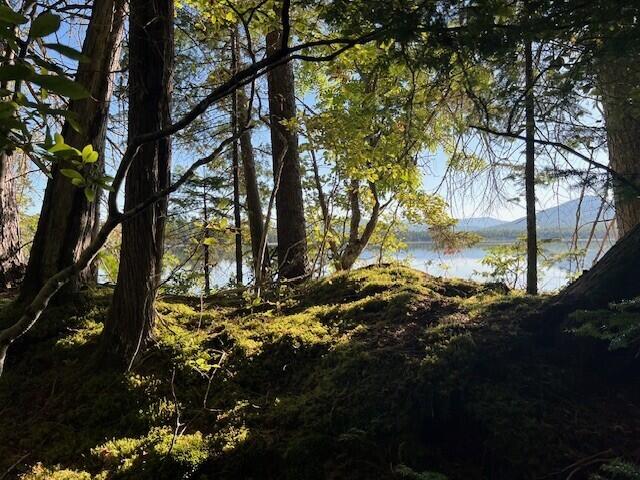 Lot 2 Saddleback Mountain Road