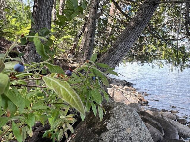 Lot 2 Saddleback Mountain Road