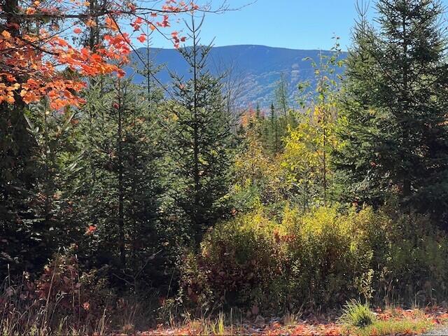 Lot 2 Saddleback Mountain Road
