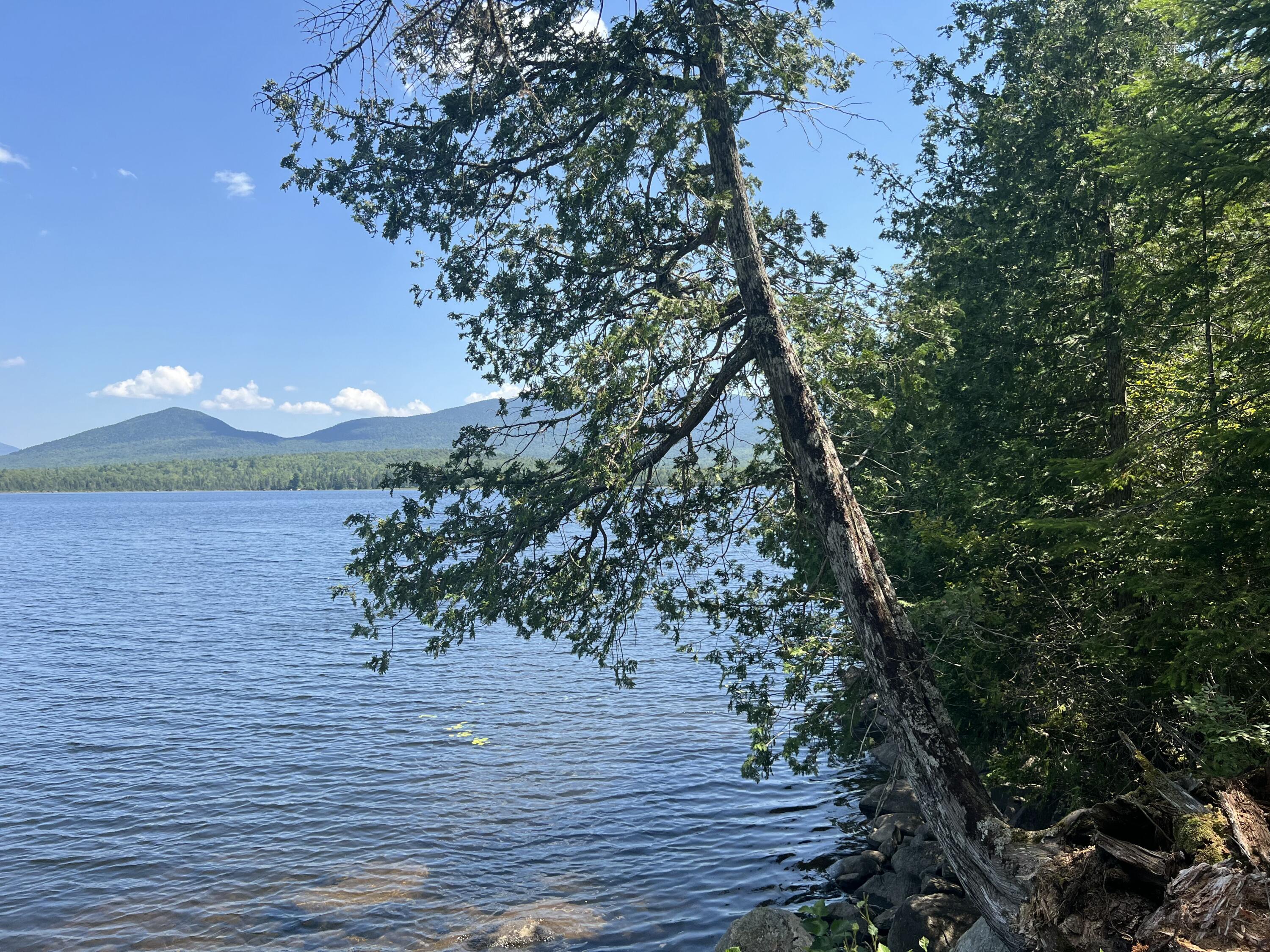 Lot 2 Saddleback Mountain Road