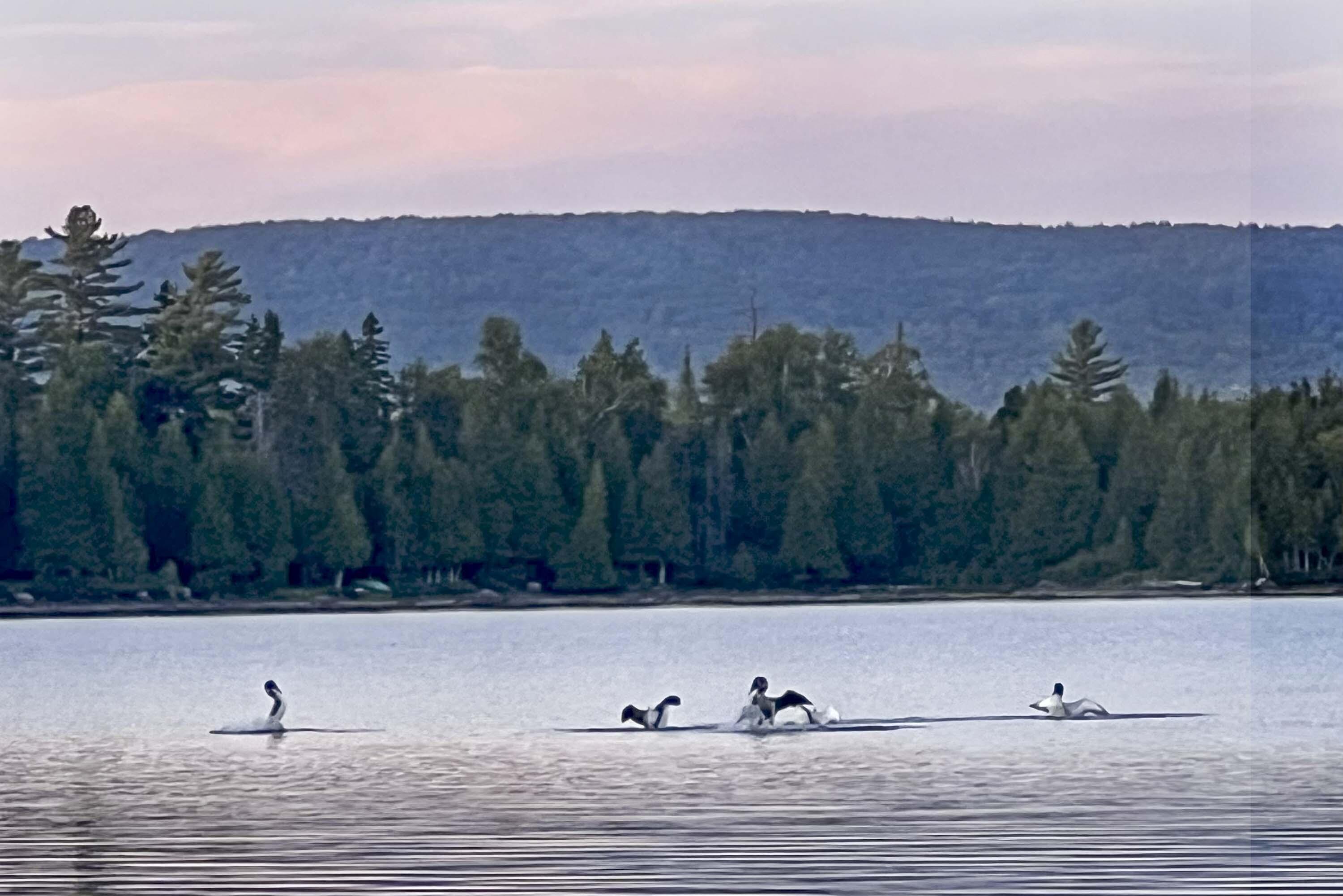 Lot 2 Saddleback Mountain Road