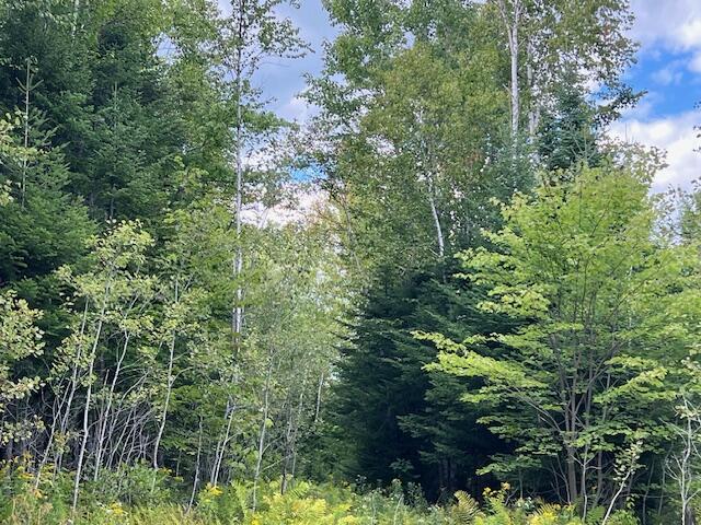 Lot 2 Saddleback Mountain Road