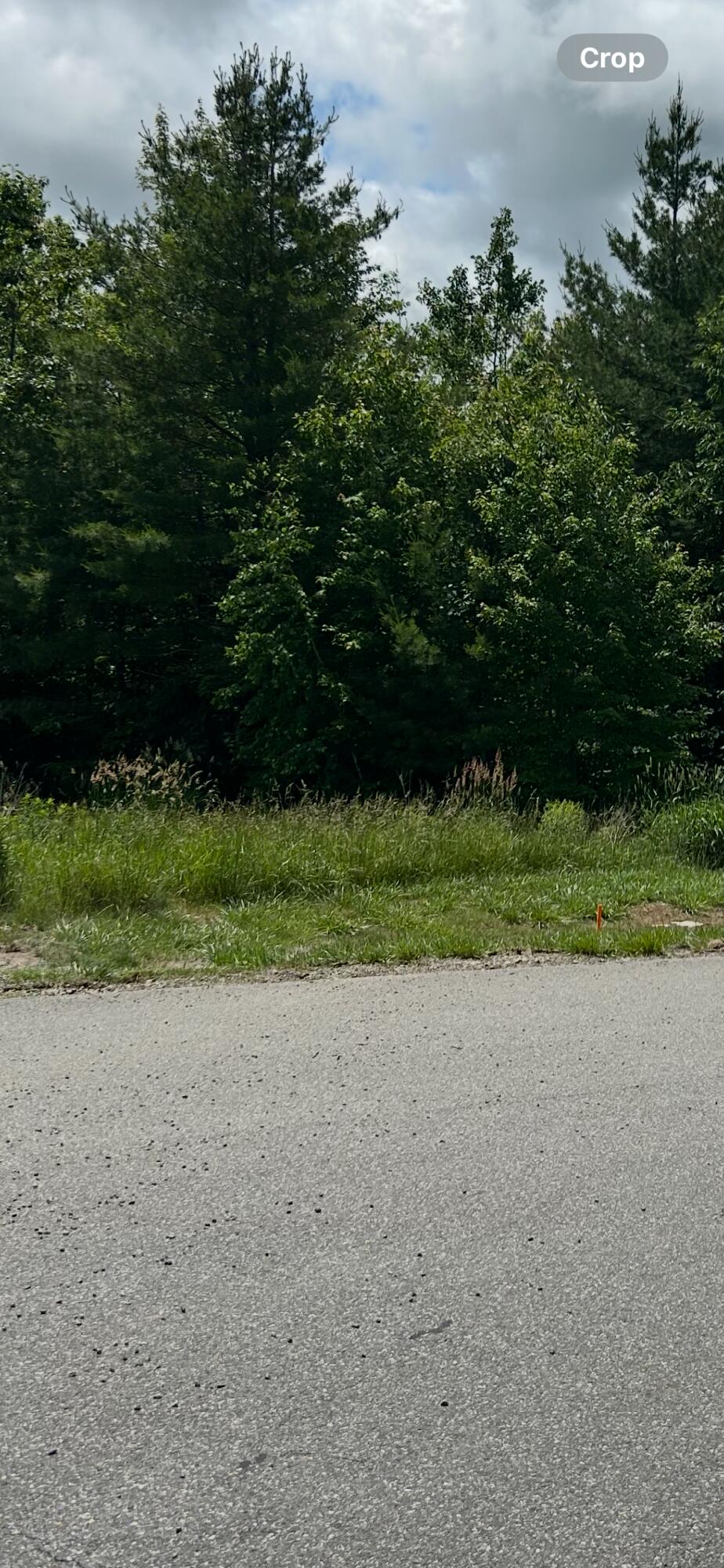 Wooded roadside lot with a grassy verge and an orange survey stake.
