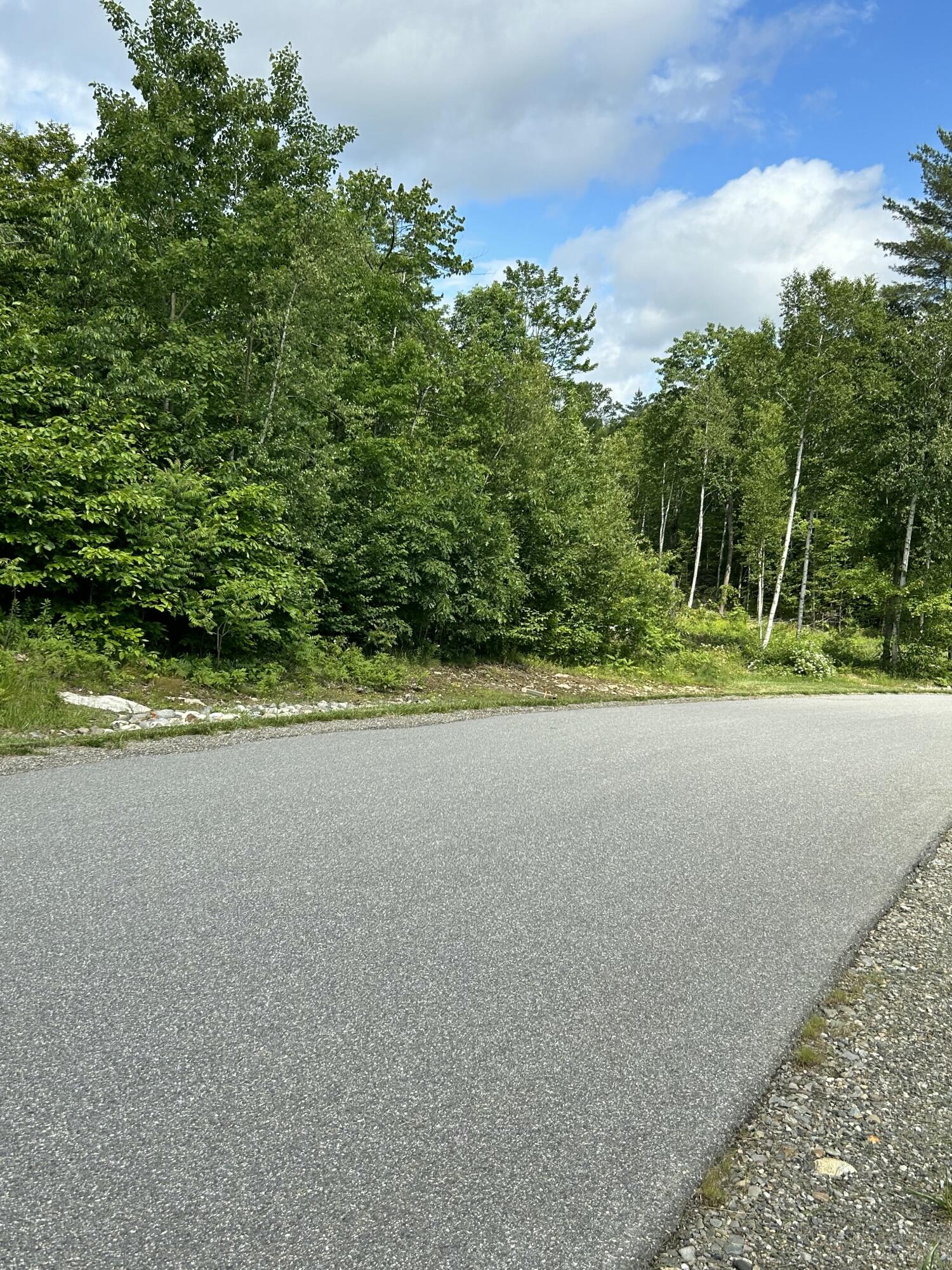 Paved road beside a densely wooded property frontage under a partly cloudy sky.