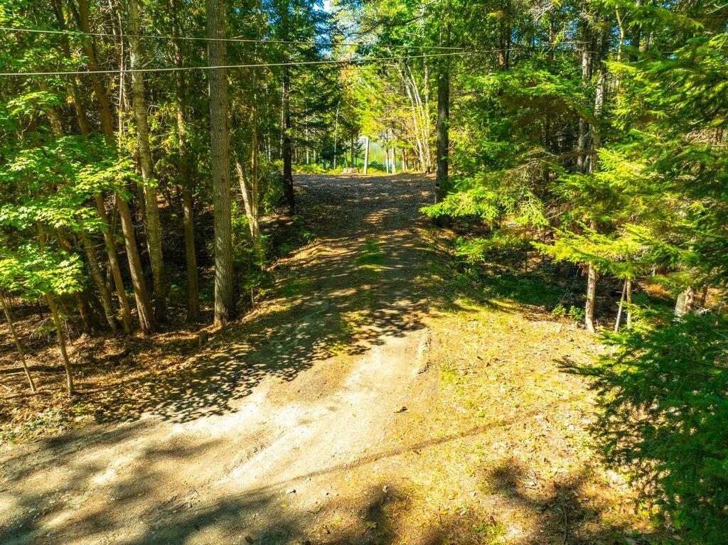 Gravel driveway winding through dense woodland toward a distant structure.