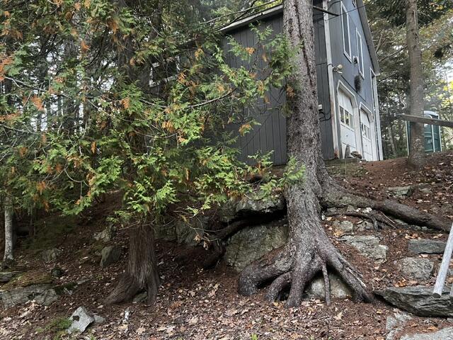 Gray-blue house on a rocky wooded slope, partly obscured by evergreen branches and mature trees.