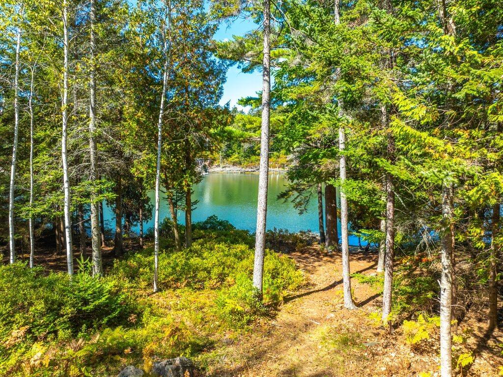 Wooded path opens onto calm water at 68 Tuttle Drive.