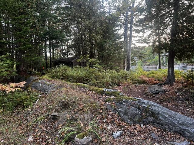 Wooded lot with rocky outcrops, autumn leaves, and a small structure partly hidden among the trees.