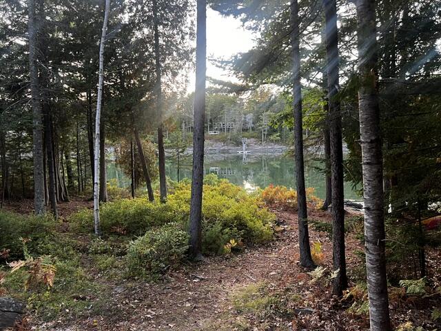 Wooded path leading to calm water, with a house visible across the shore.