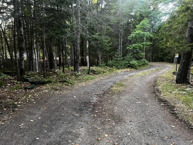 Gravel driveway curving through dense woods beside a small roadside sign.