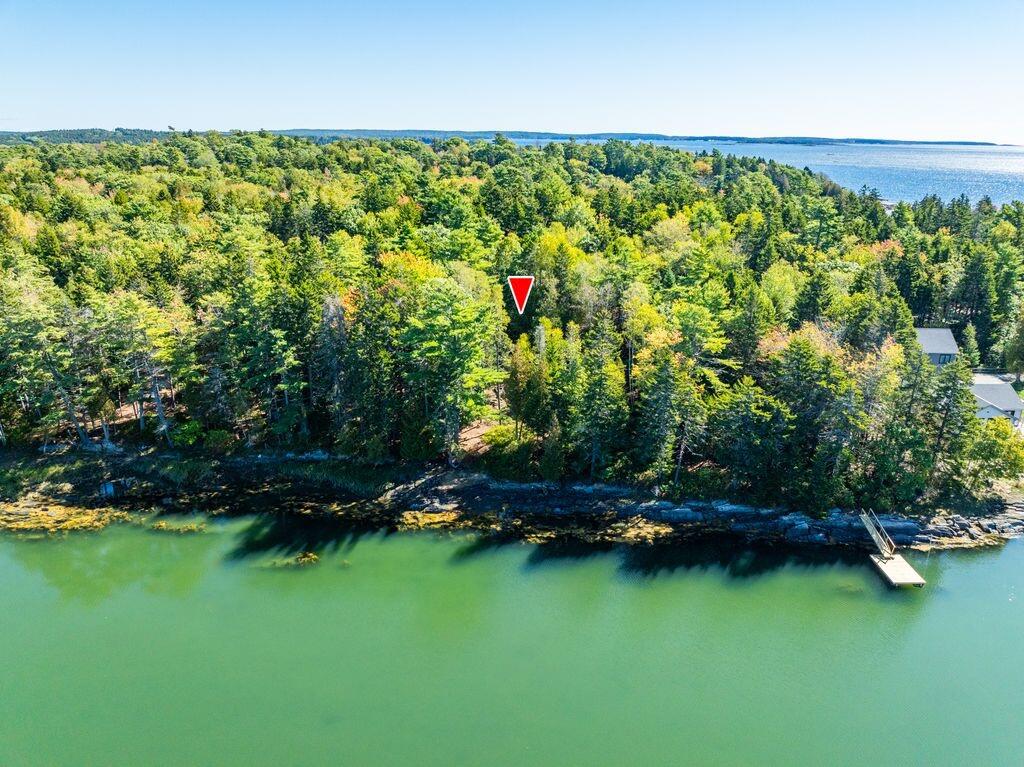 Aerial view of a wooded waterfront property with a rocky shore, dock, and red location marker.