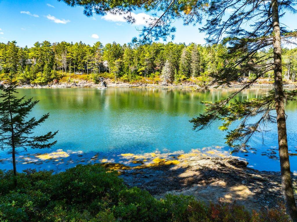 Clear blue-green water meets a wooded shoreline, framed by evergreens and a rocky shore.