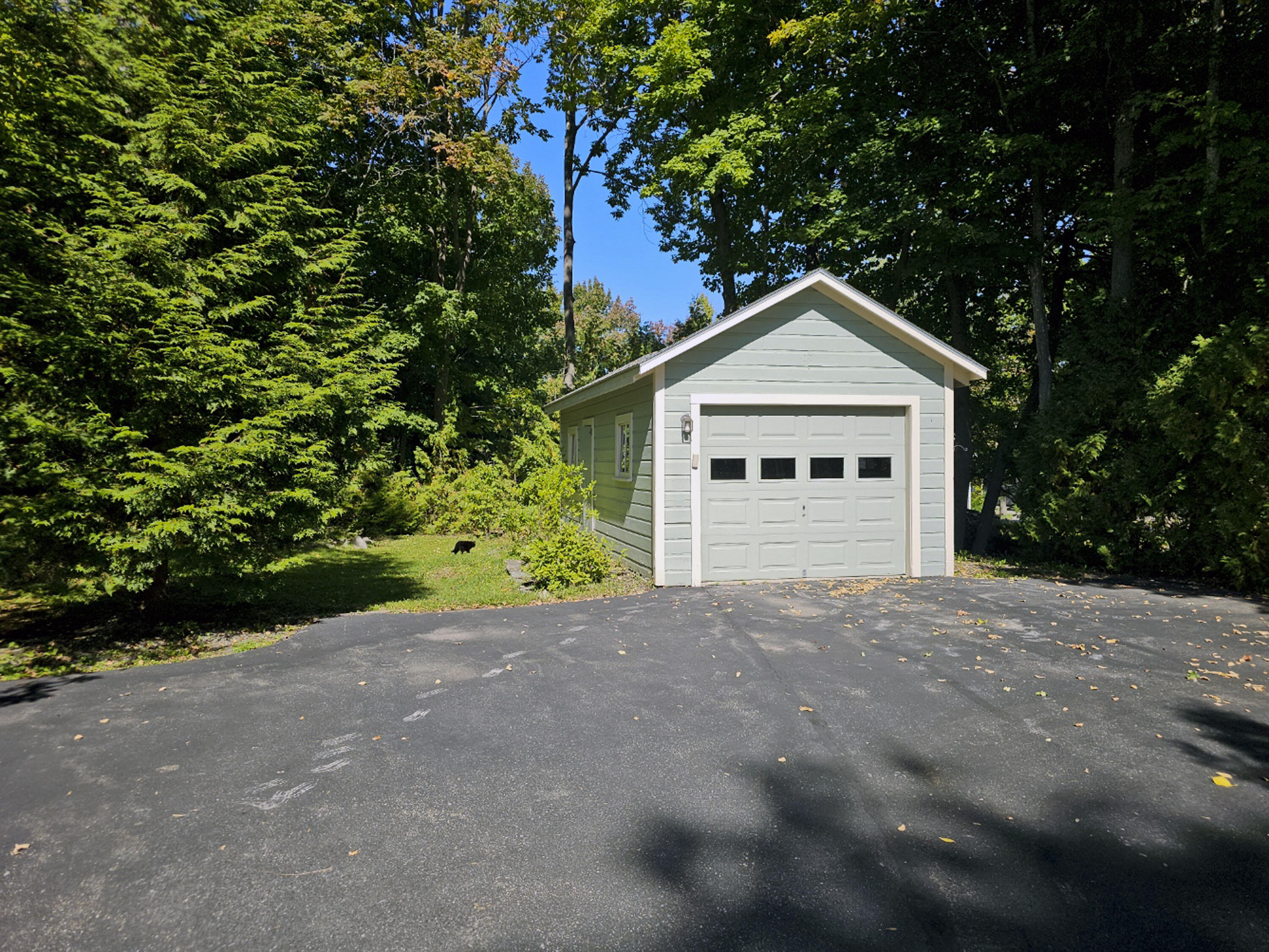 Detached pale green garage with a white paneled door beside a paved driveway and mature trees.
