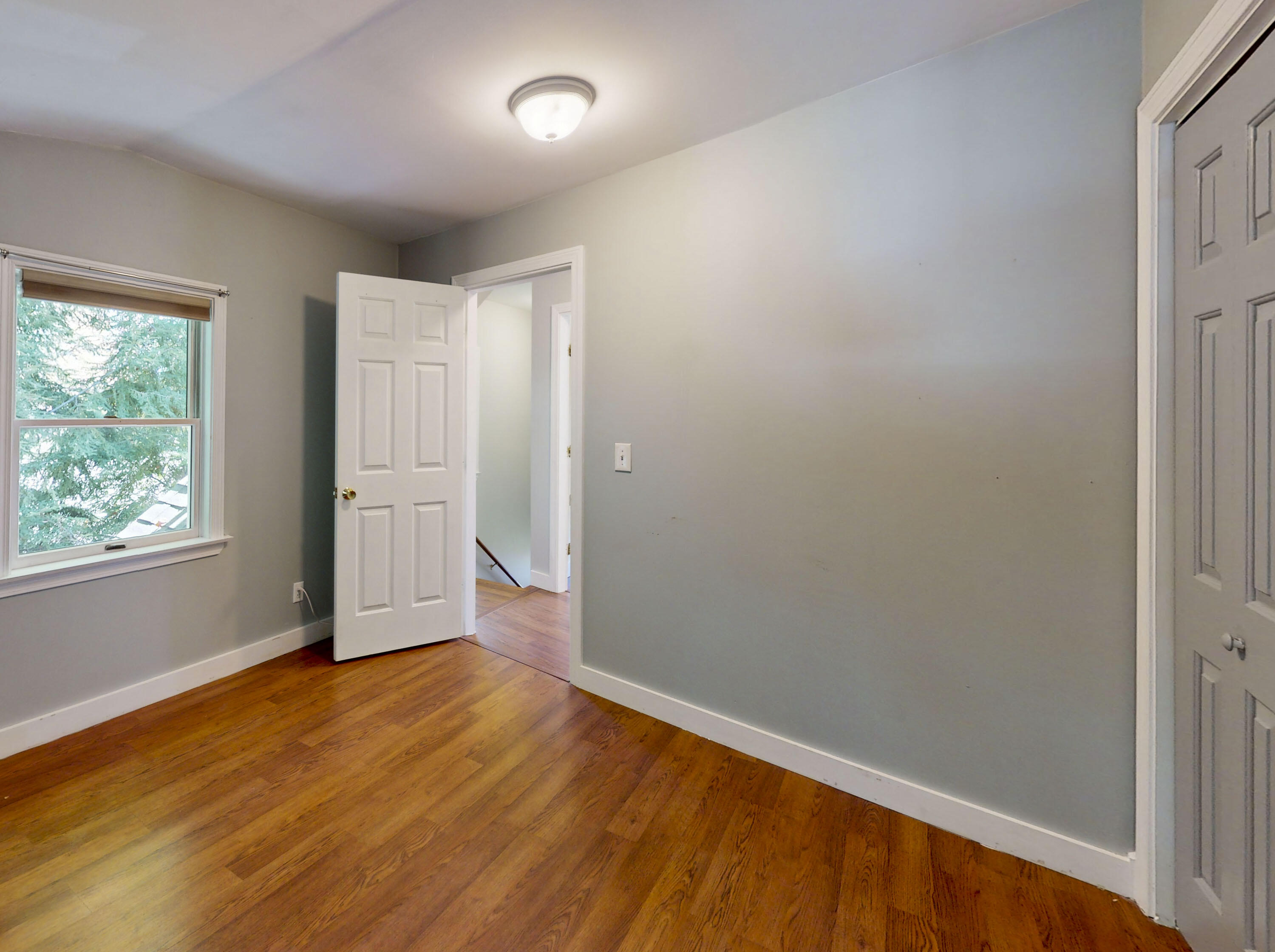 Empty room with hardwood floors, gray walls, and a window overlooking trees.