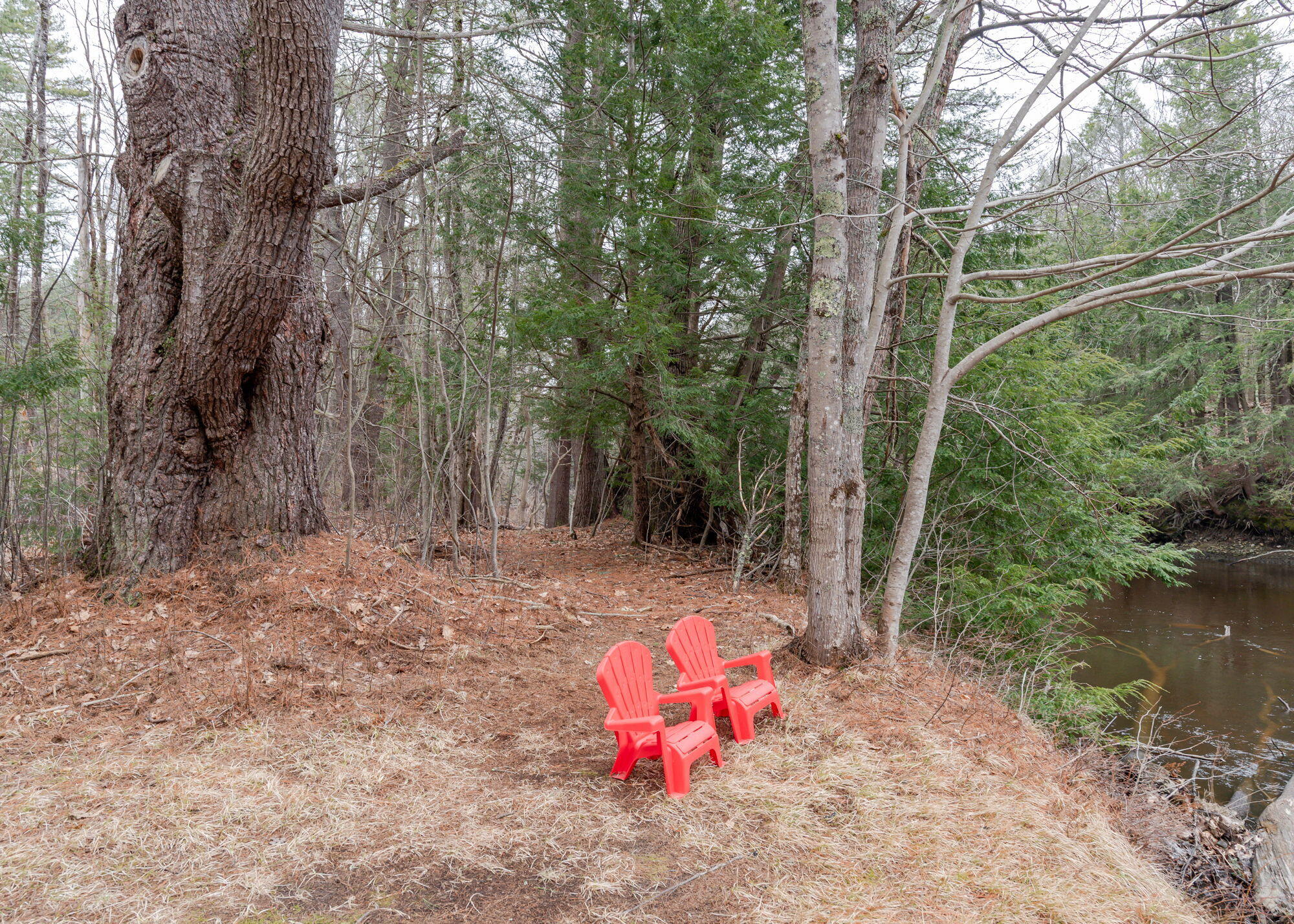 529 River Road