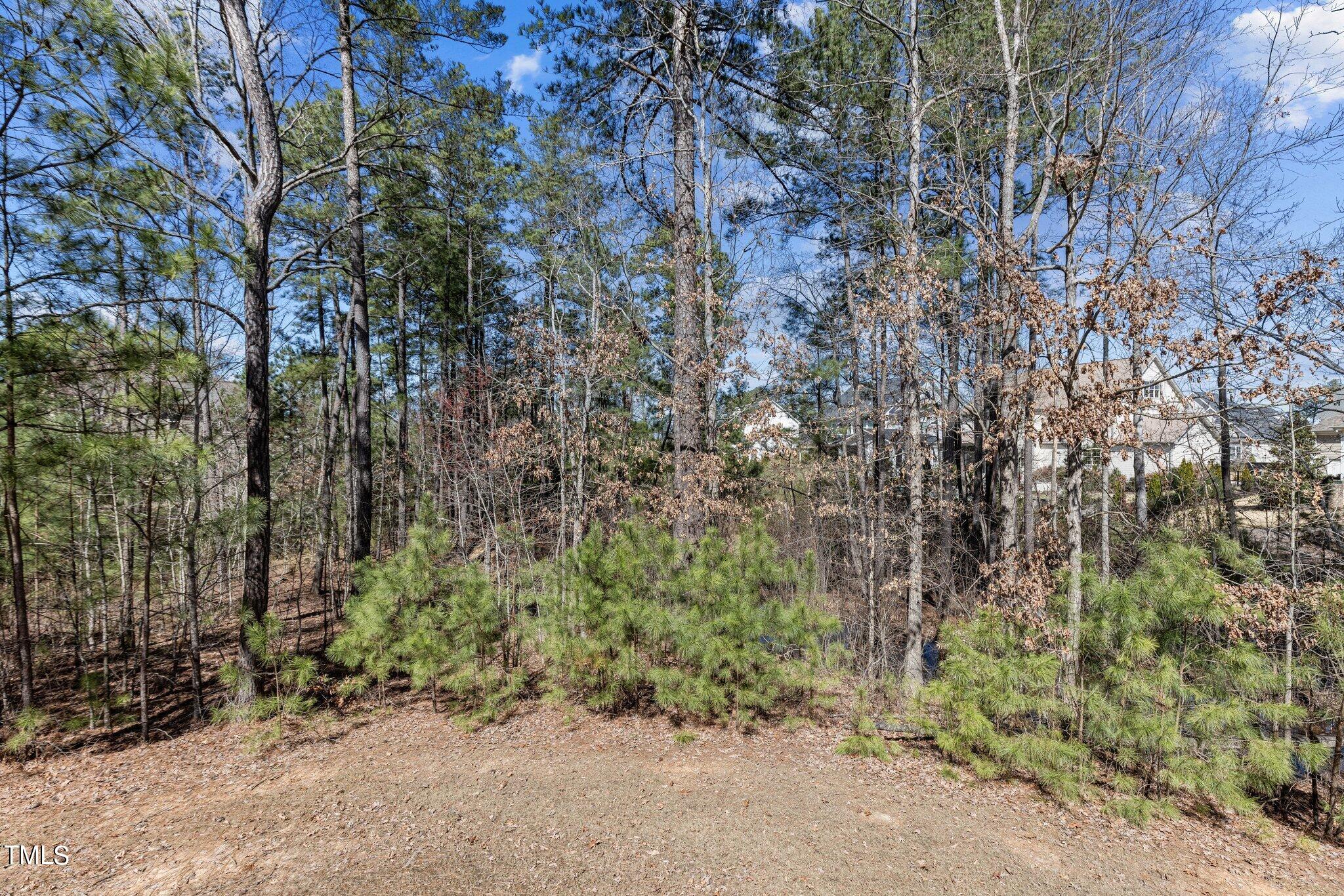 112 Jumping Creek Court