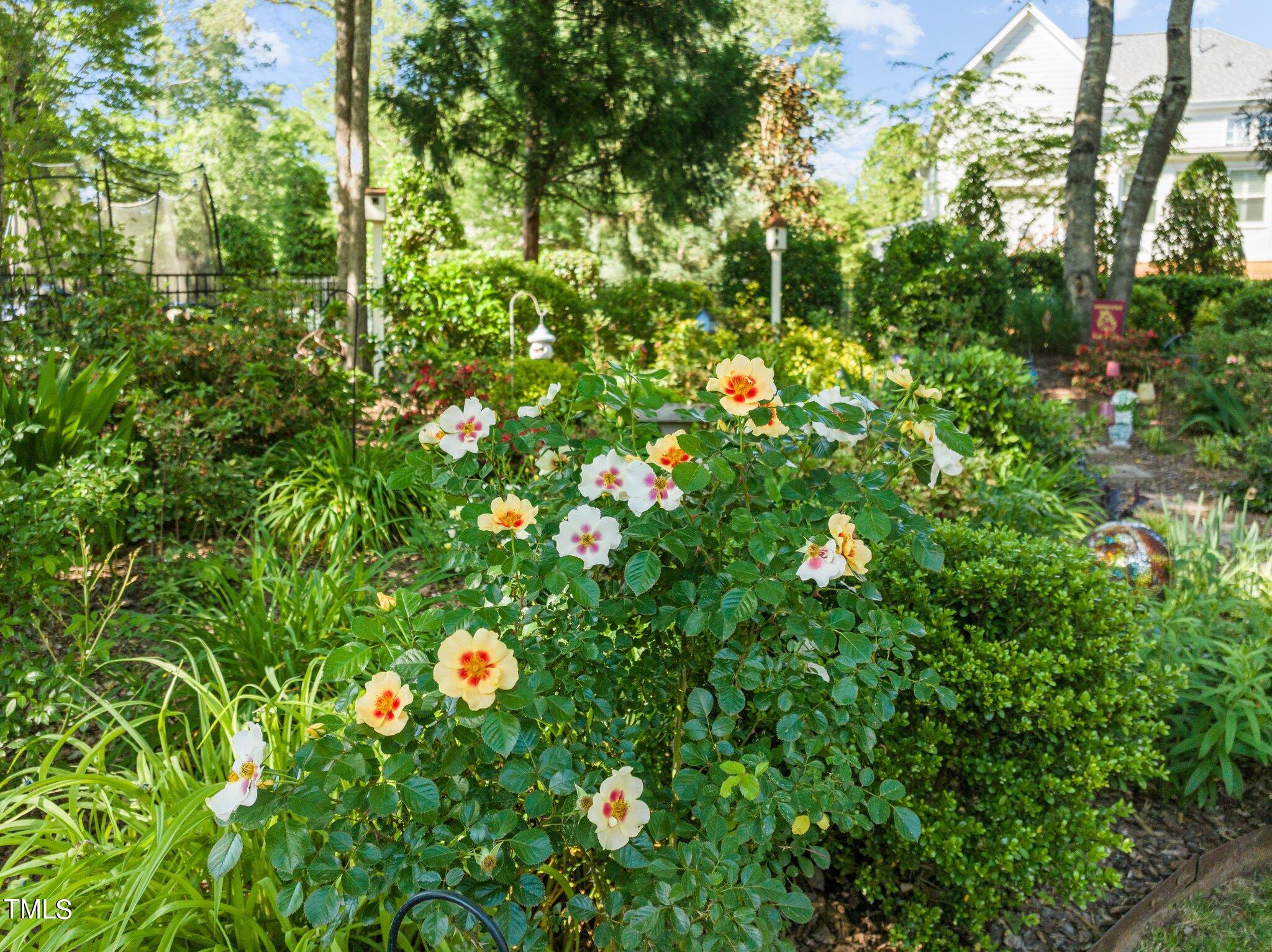 7321 Capulin Crest Drive