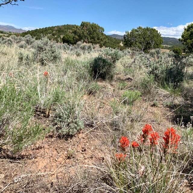 680 S Heritage Hills DR Unit: 4