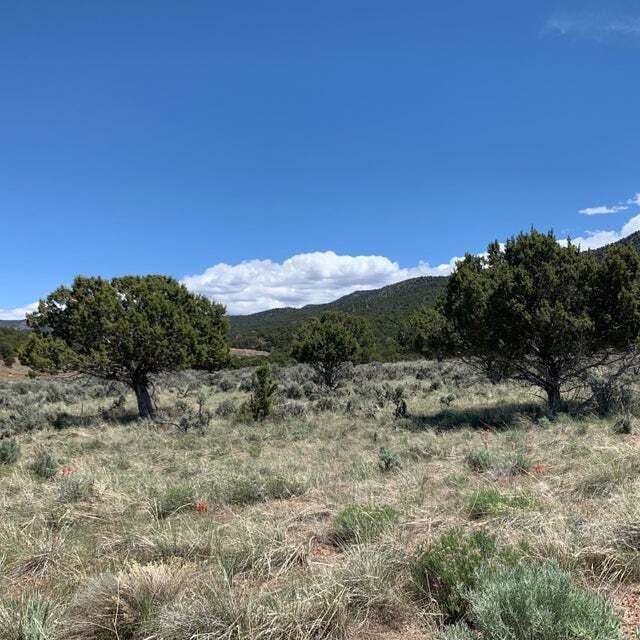 1574 W Flint Circle Unit: 8