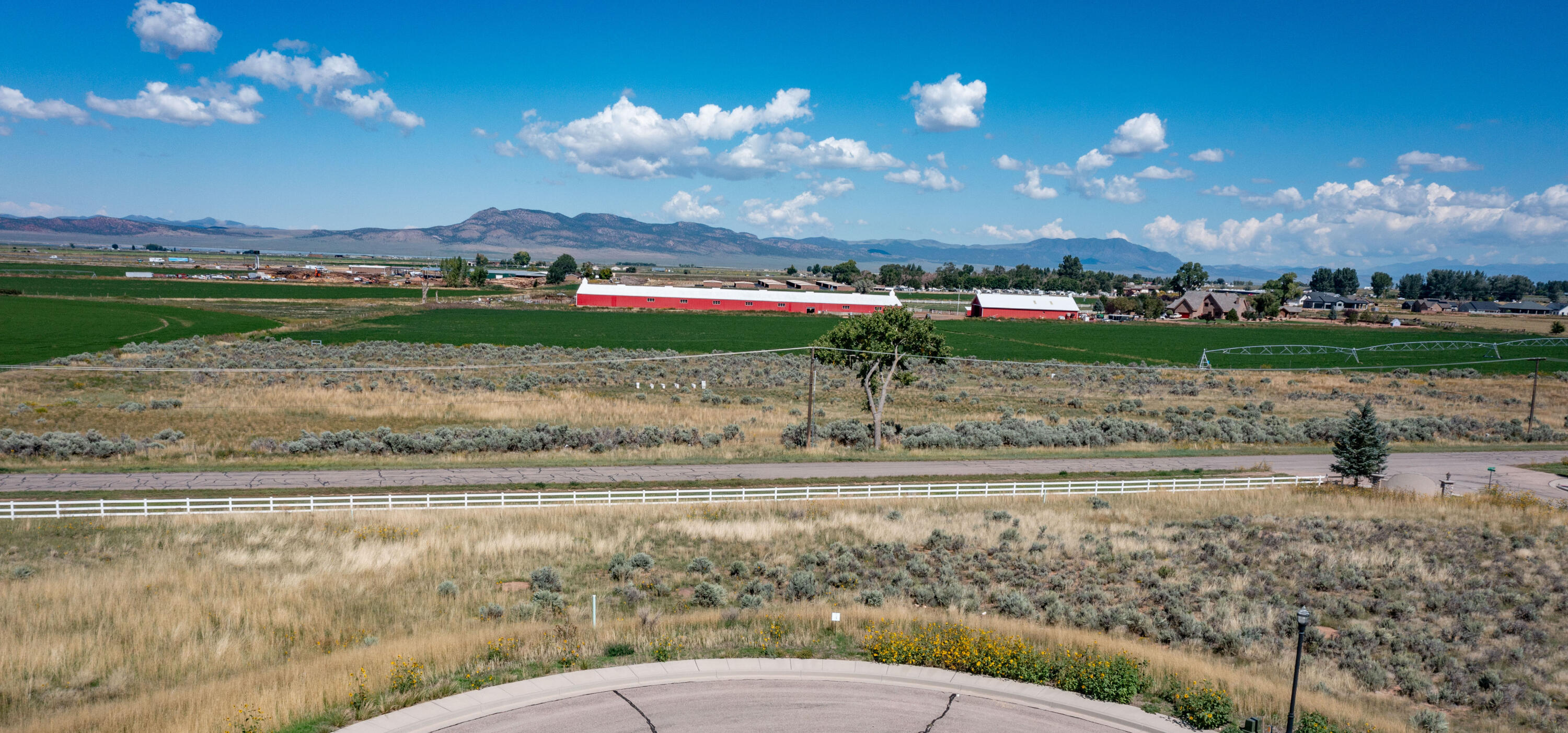 1548 W Flint CIR Unit: 3