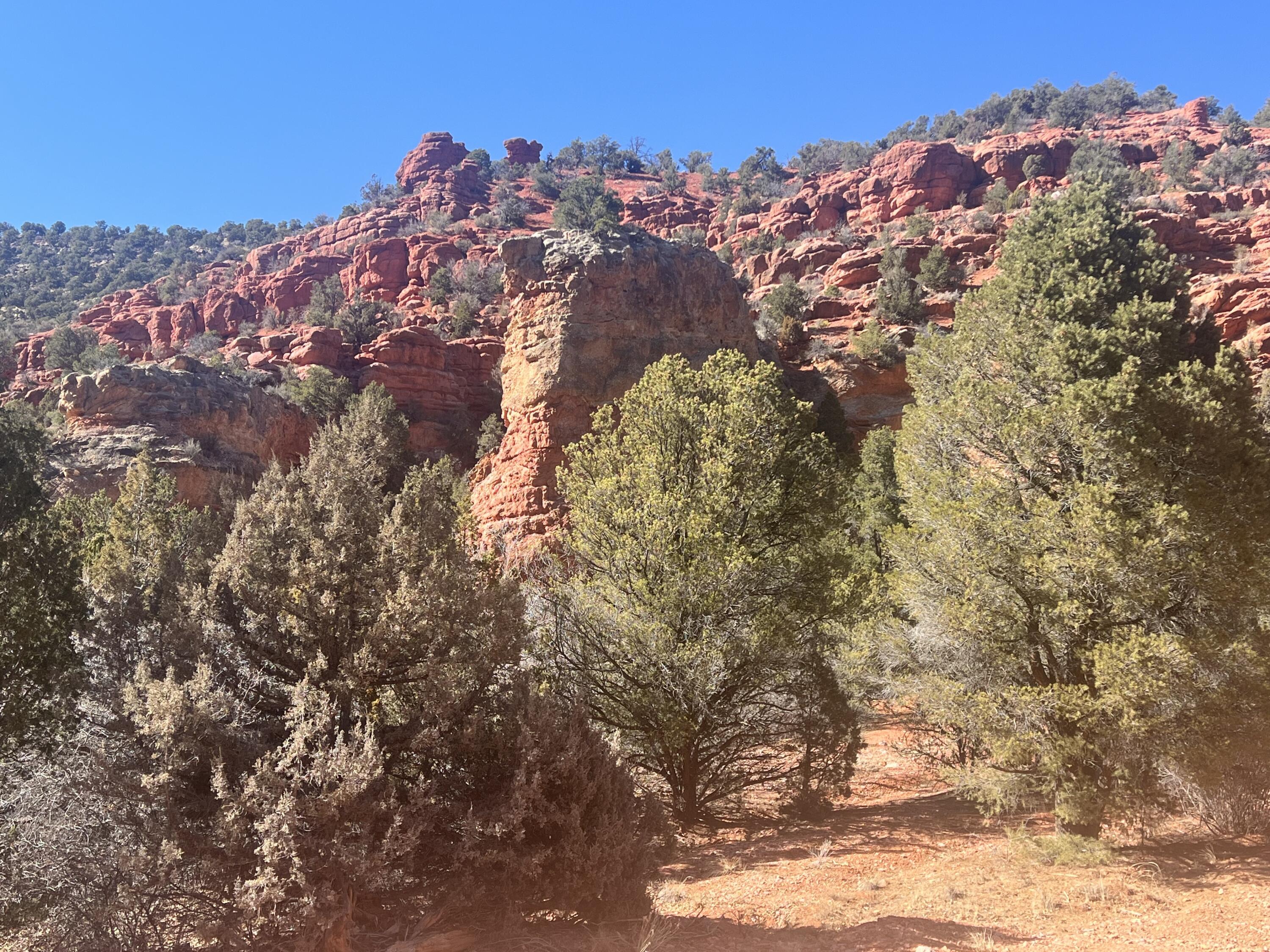 160 AC Township 34 Section, Range 8 W