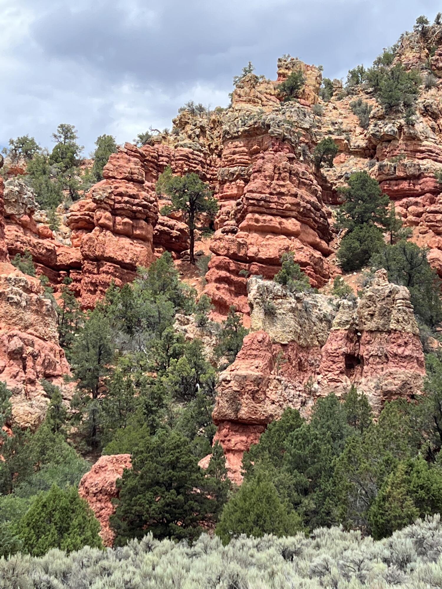 160 AC Township 34 Section, Range 8 W