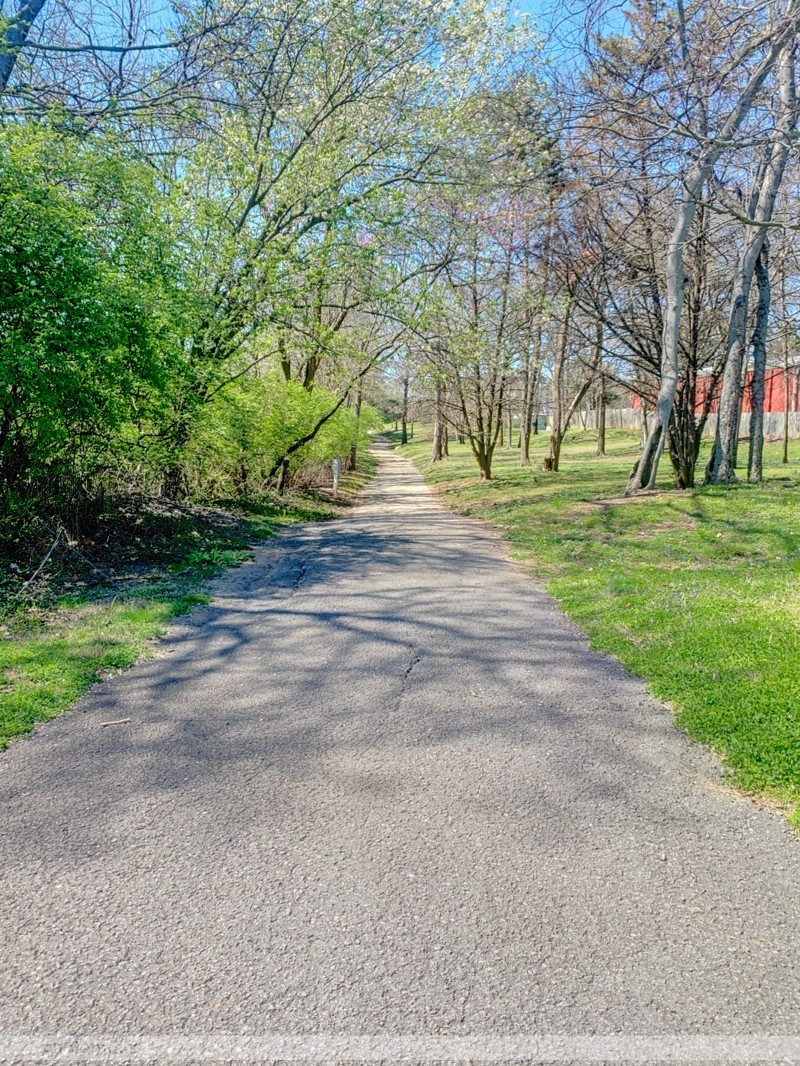 314 Caysens Square Ln