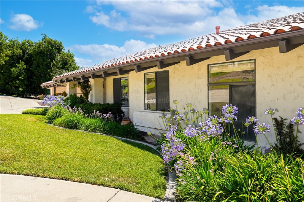 955 N Easley Canyon Road