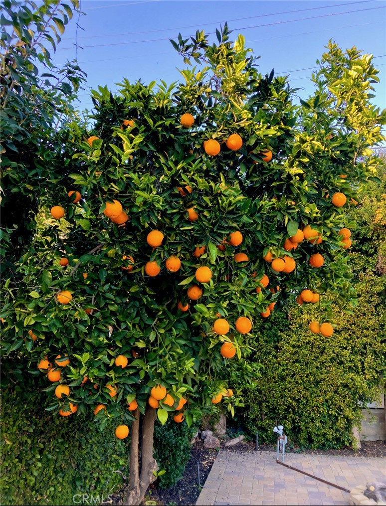 13139 Valleyheart Drive