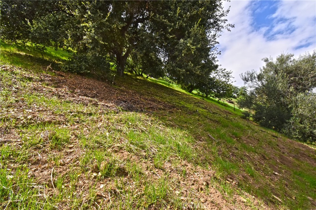 11042 Fruitland Drive