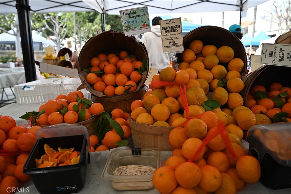 12060 Hoffman Street 103