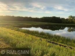 11480 Blazingstar Lane N