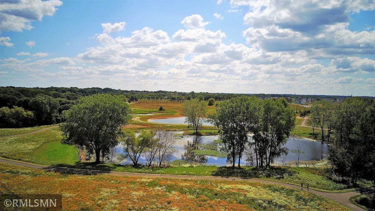 11480 Blazingstar Lane N