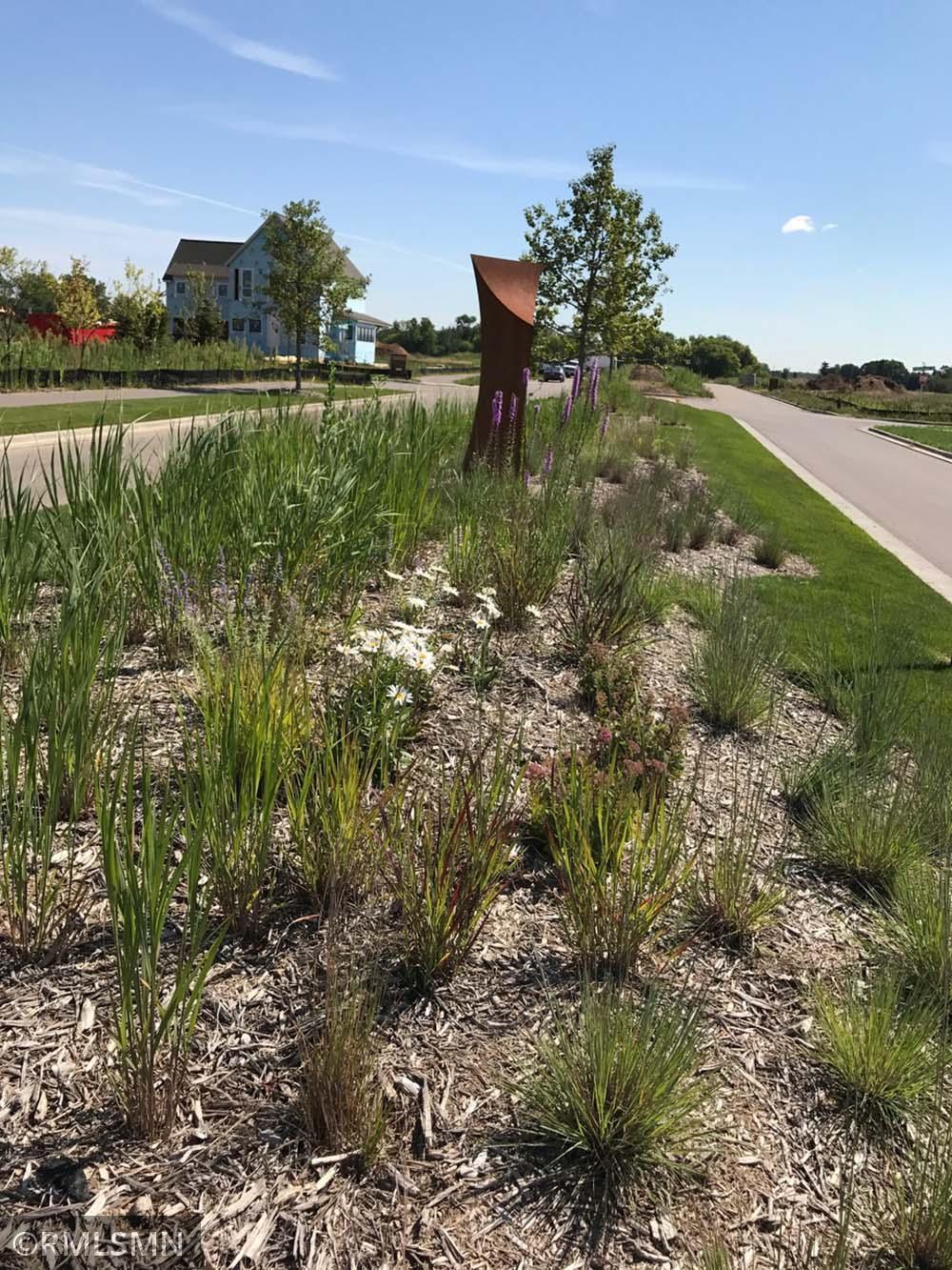 11480 Blazingstar Lane N