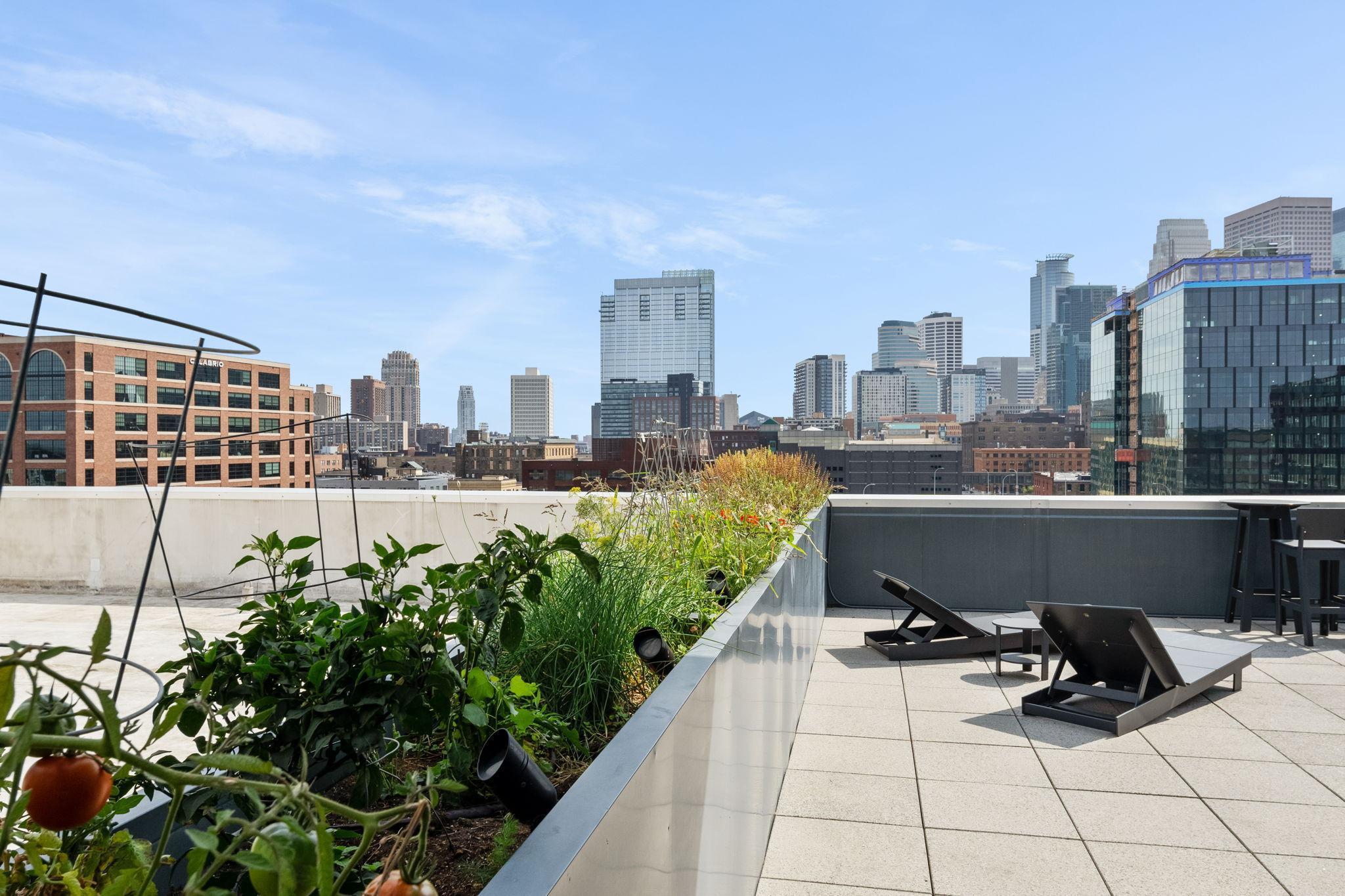 345 6th Avenue N Unit: 702