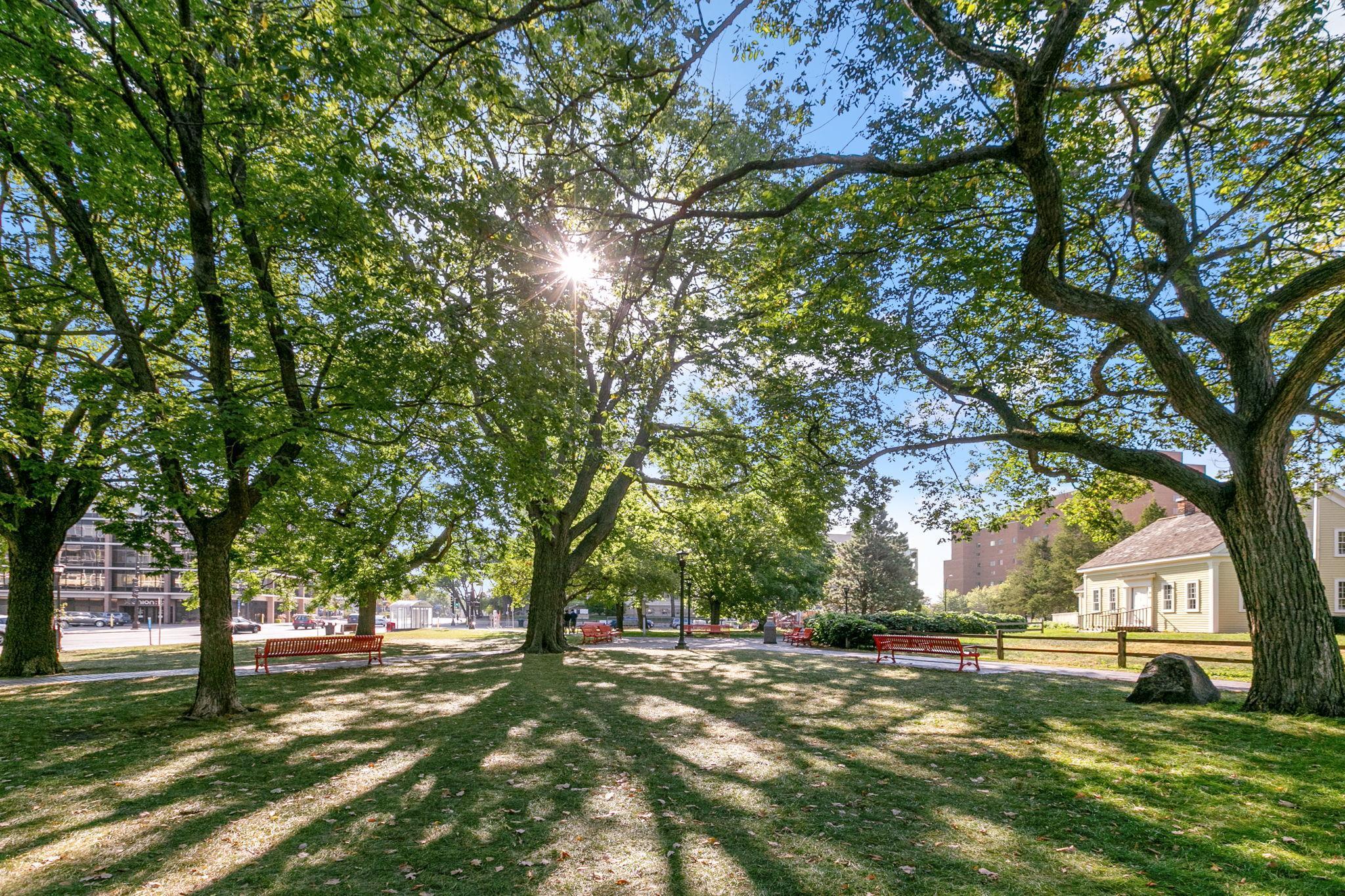 45 University Avenue SE Unit: 512