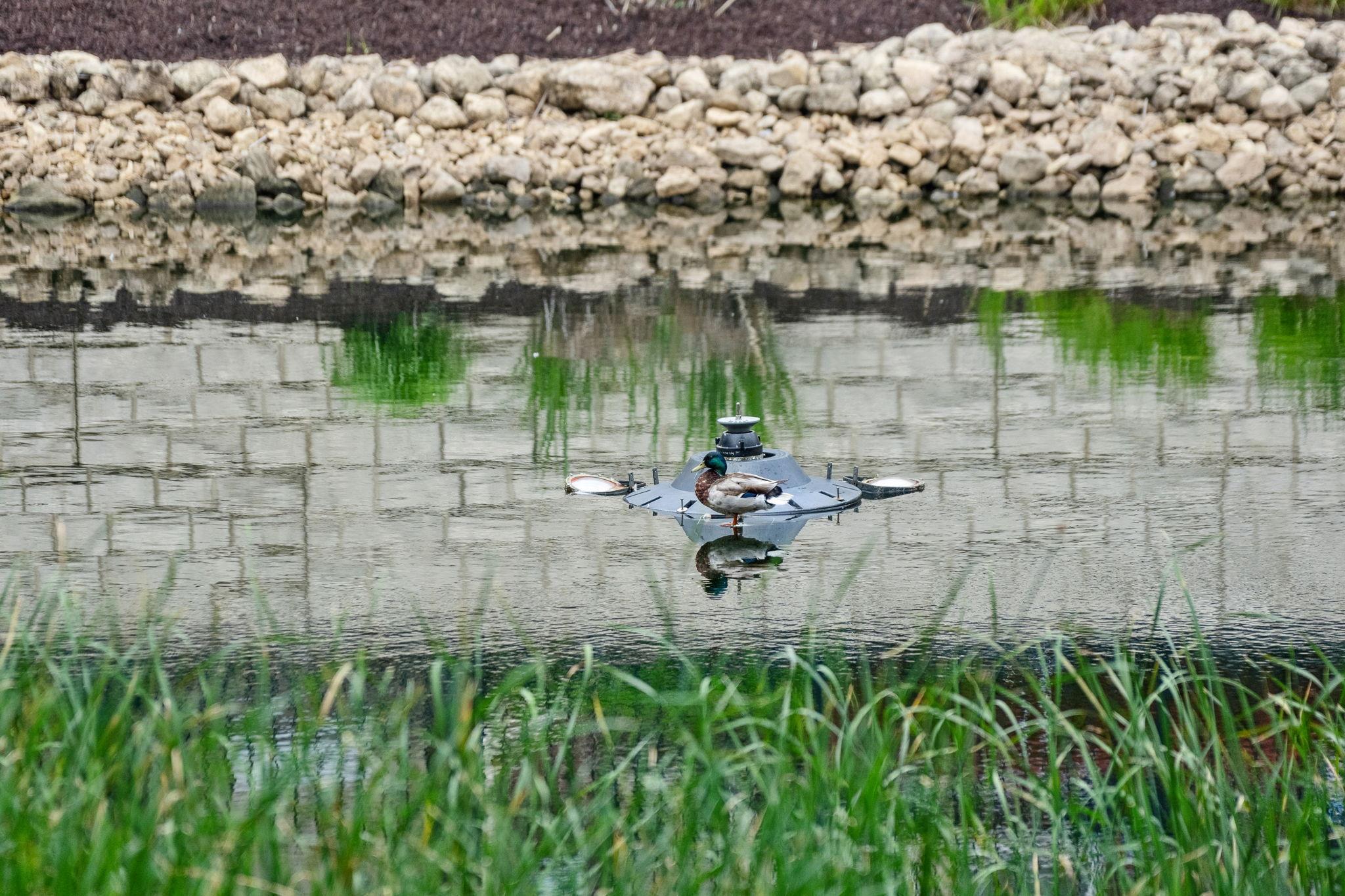 5900 Oxford Street Unit: 8