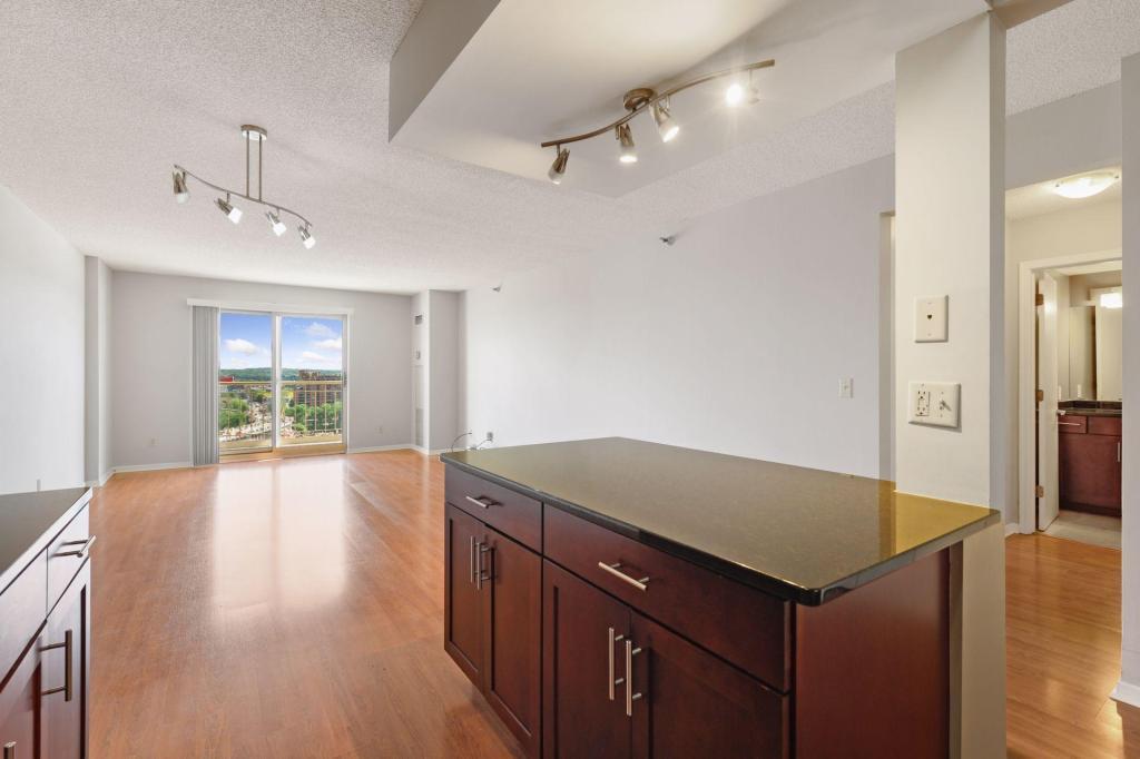 401 S 1st Street Unit: 1705