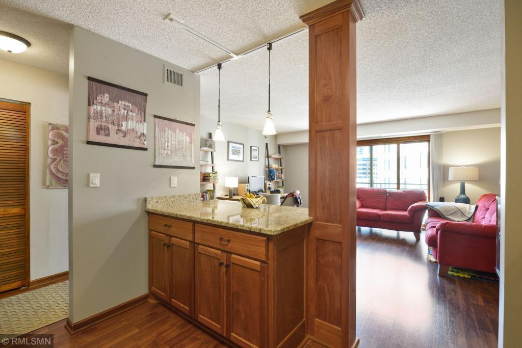 121 Washington Avenue S Unit: 915