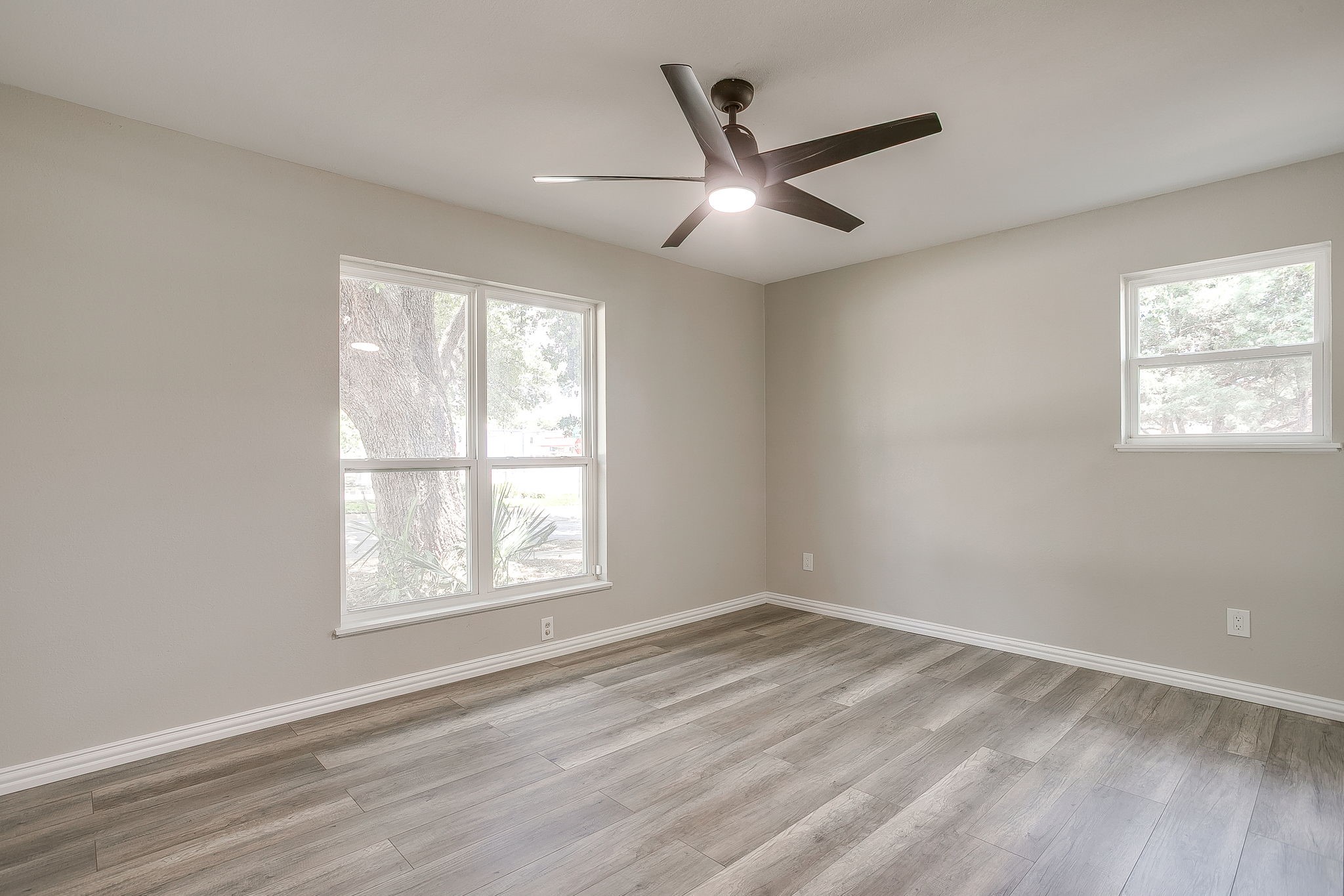 2536 Daisy Lane