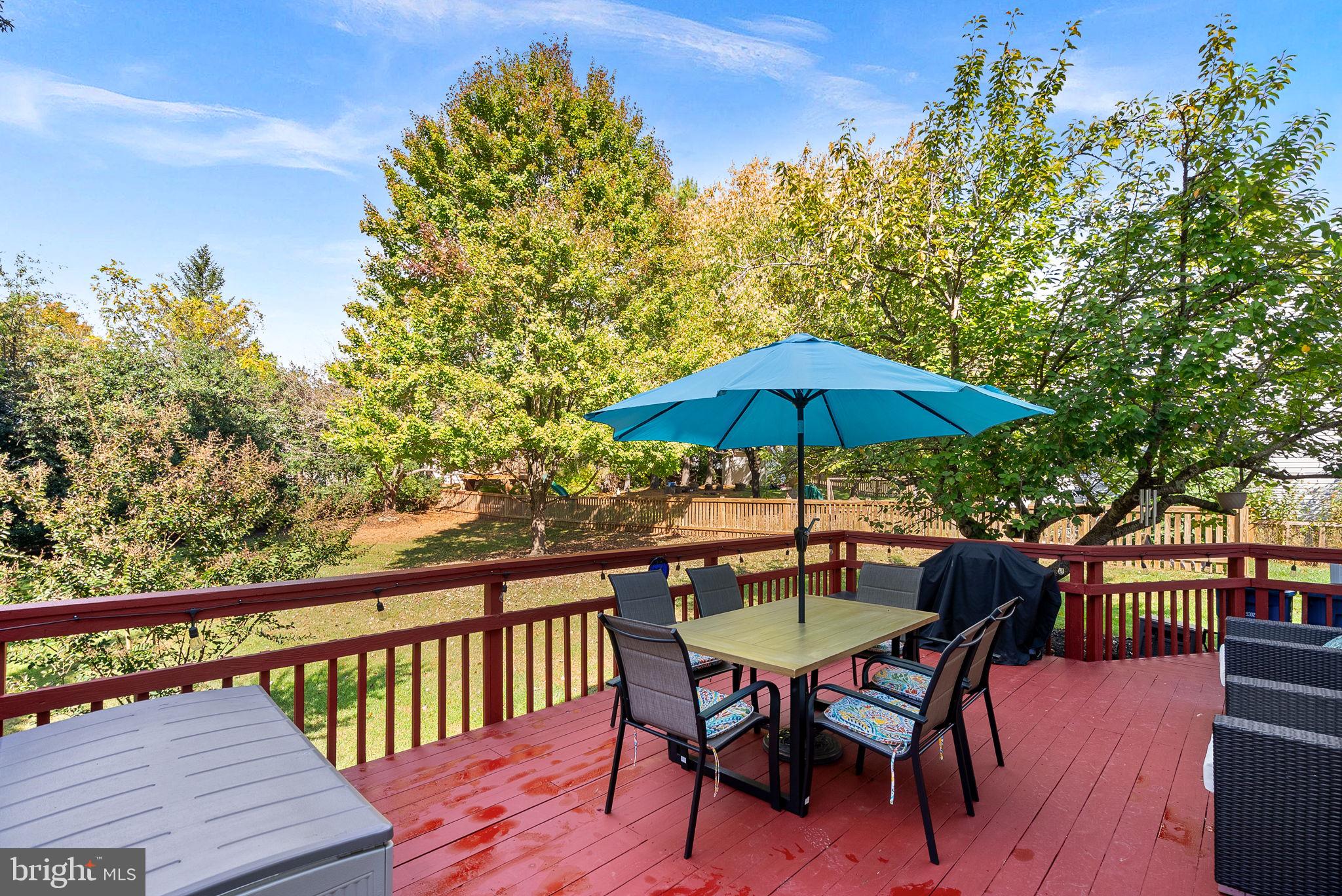 20017 GREAT FALLS FOREST DRIVE