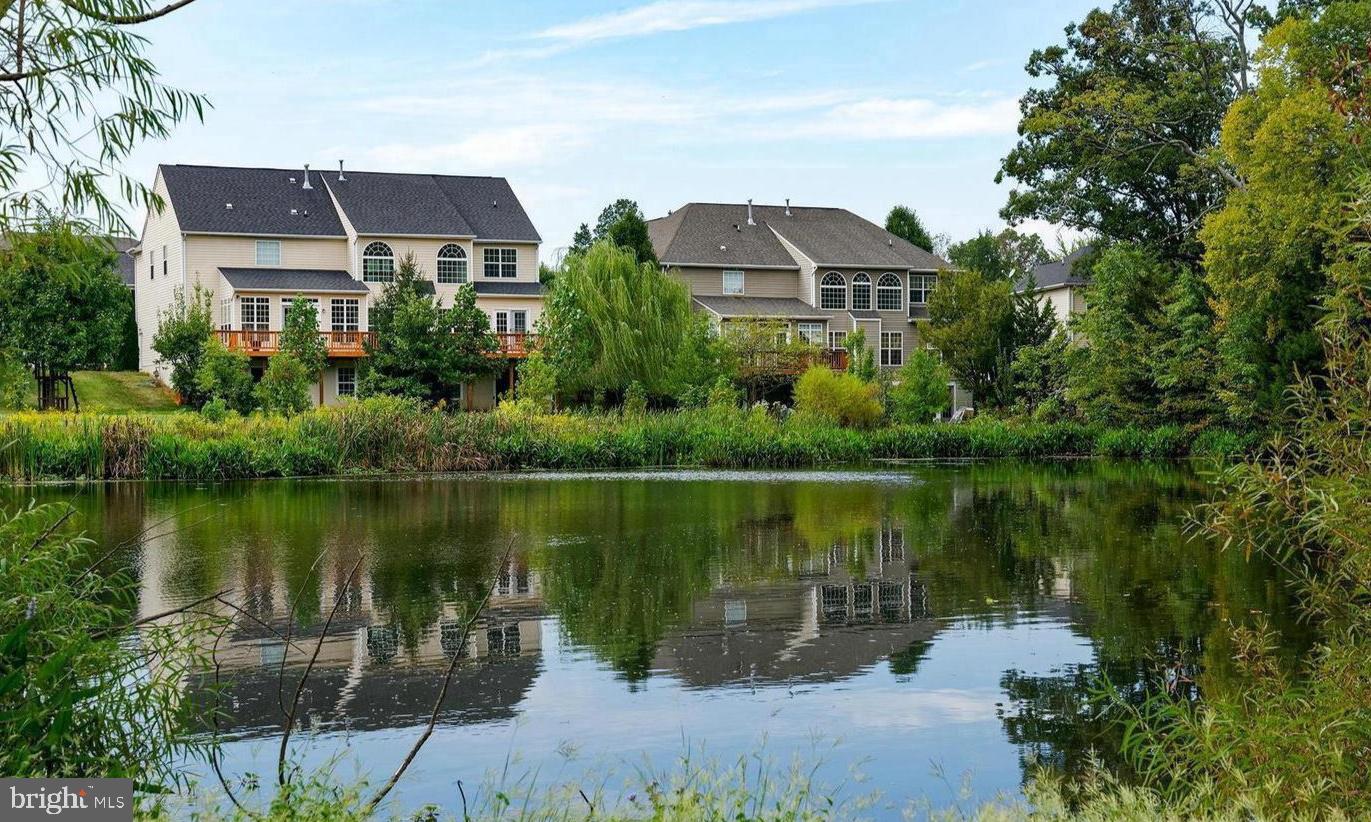 21644 PICCADILLY CIRCUS COURT