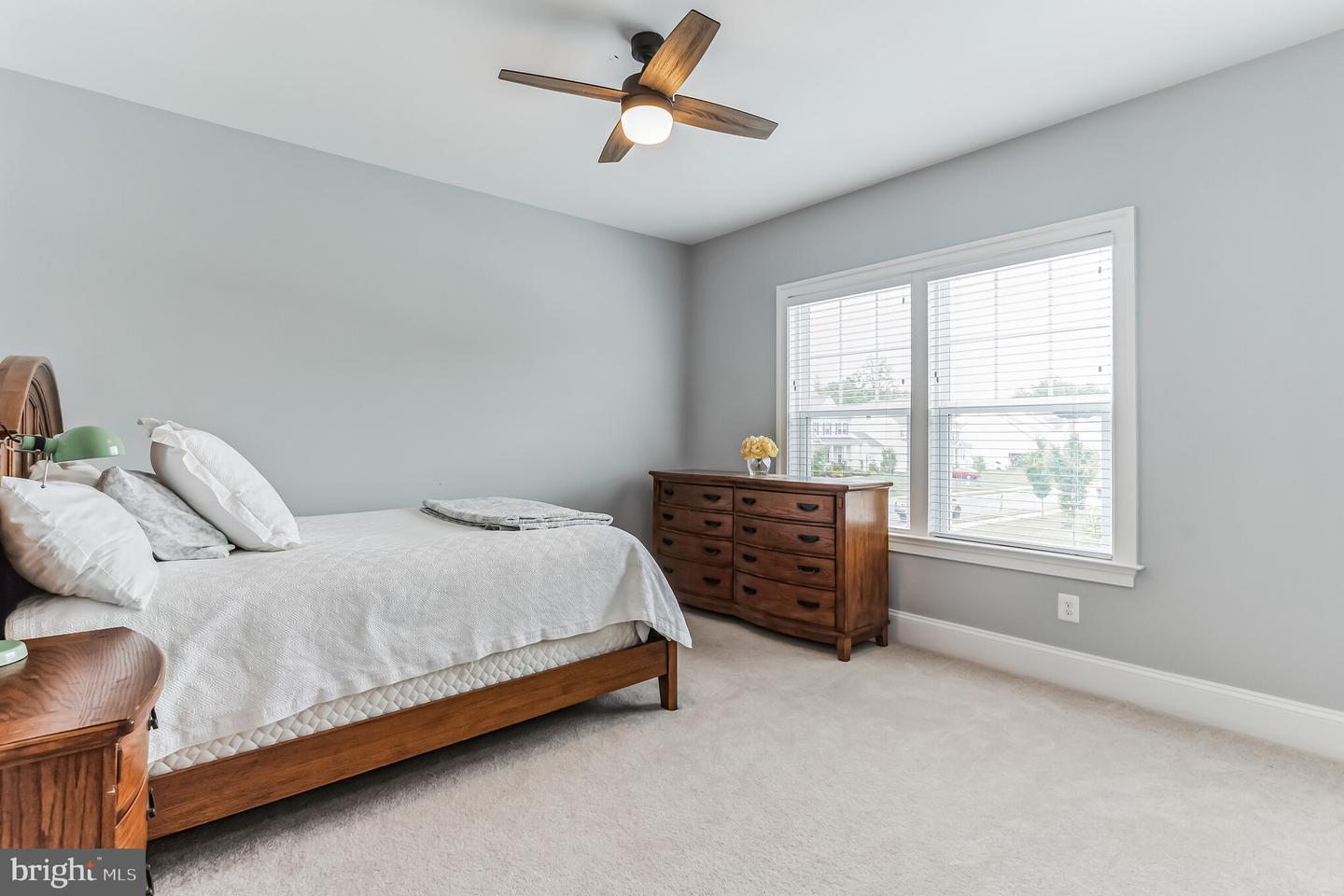 6713 DOGWOOD BLOOM CT