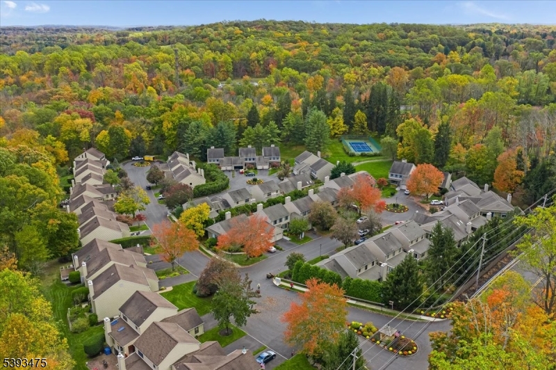 11 Shadowbrook Ln