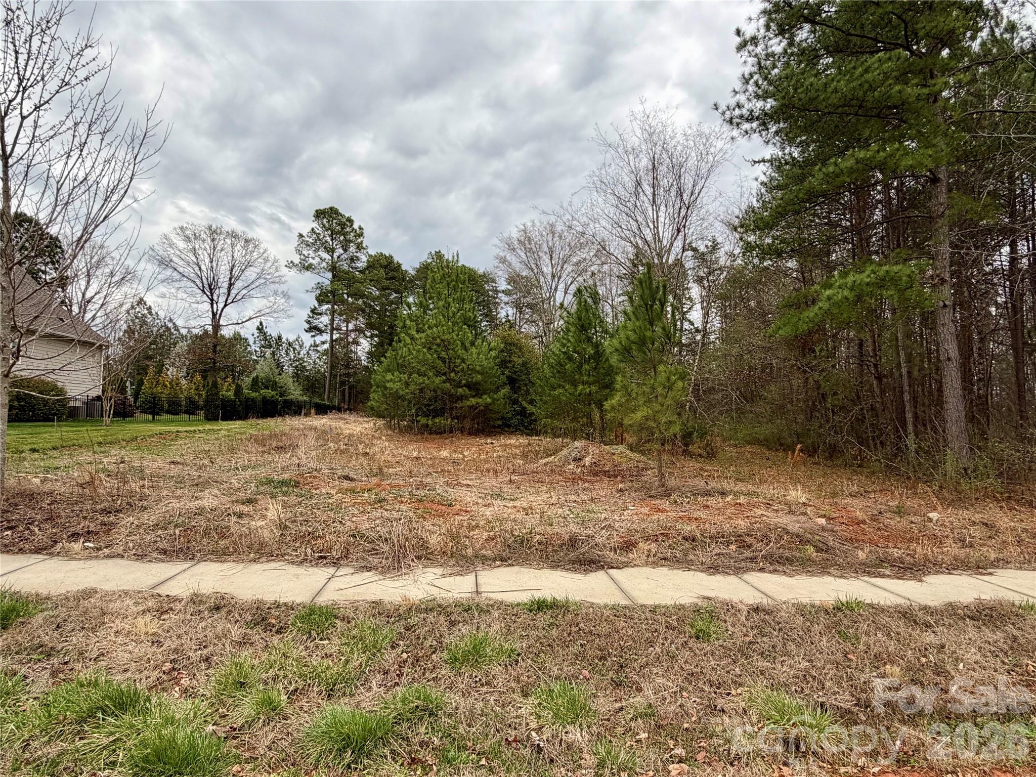 Vacant wooded lot with a sidewalk along the front and mature trees at the edges.