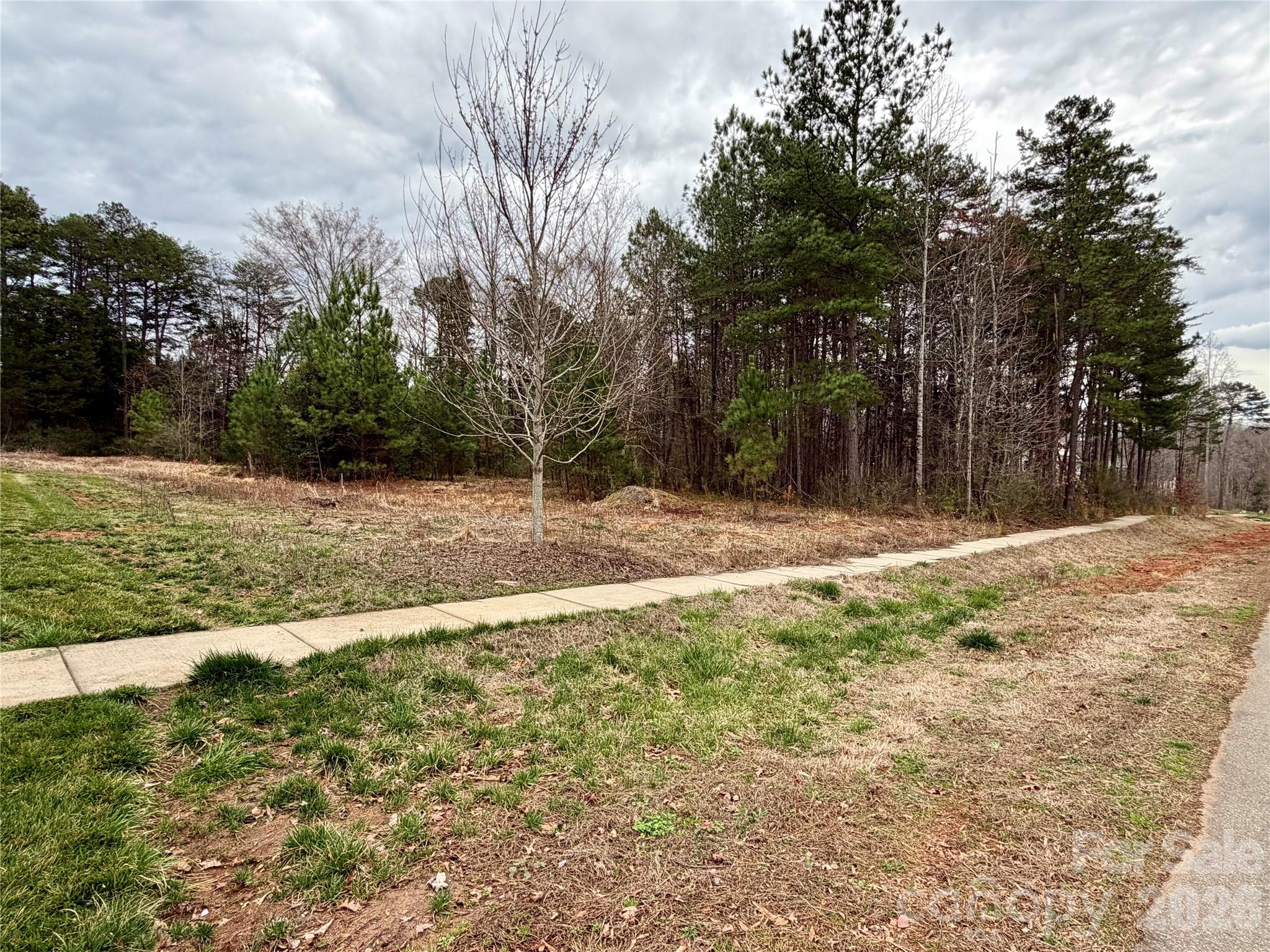 Vacant grassy lot with a sidewalk and wooded tree line.